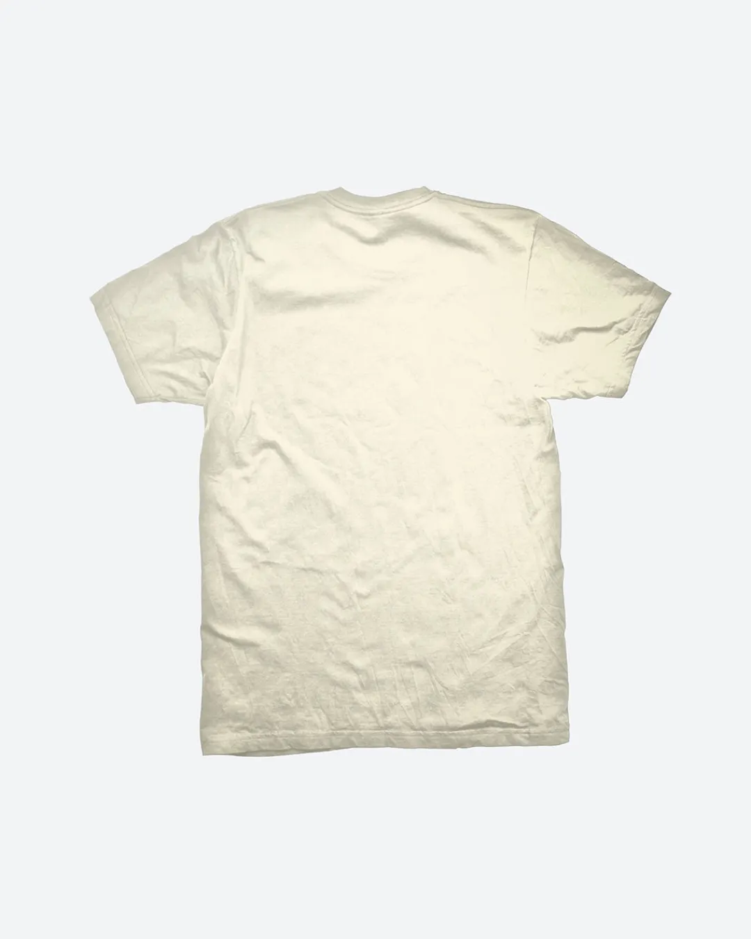 Dirty Ghetto Kids Domination T-Shirt| T-Shirts