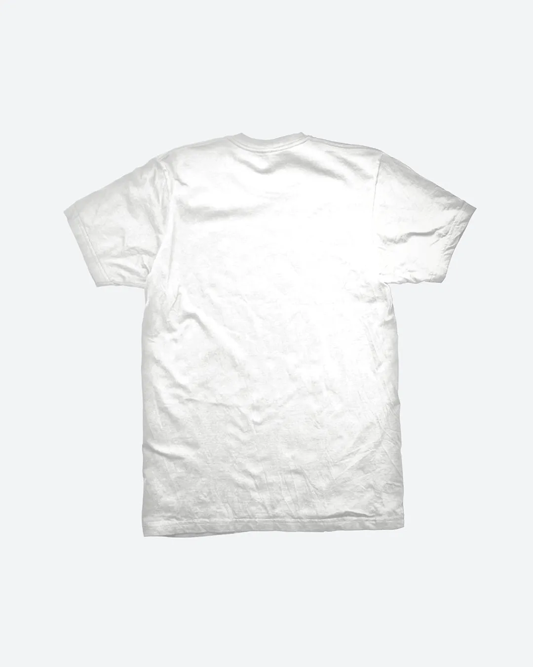 Dirty Ghetto Kids Domination T-Shirt| T-Shirts