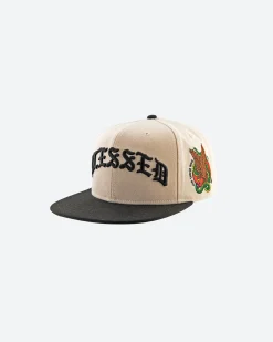 Dirty Ghetto Kids Guerrero Snapback| Headwear|Accessories