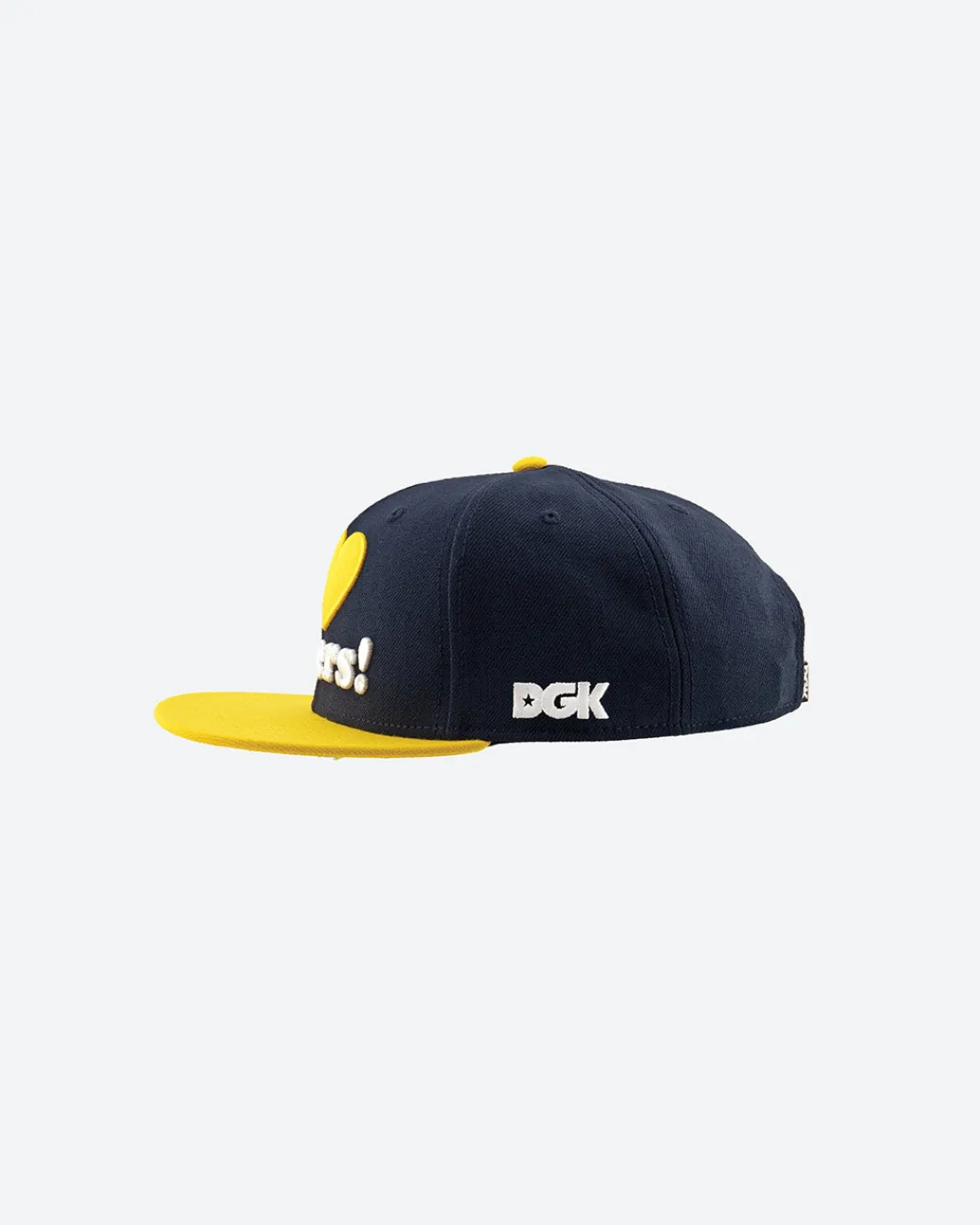Dirty Ghetto Kids Haters Snapback| Headwear|Accessories