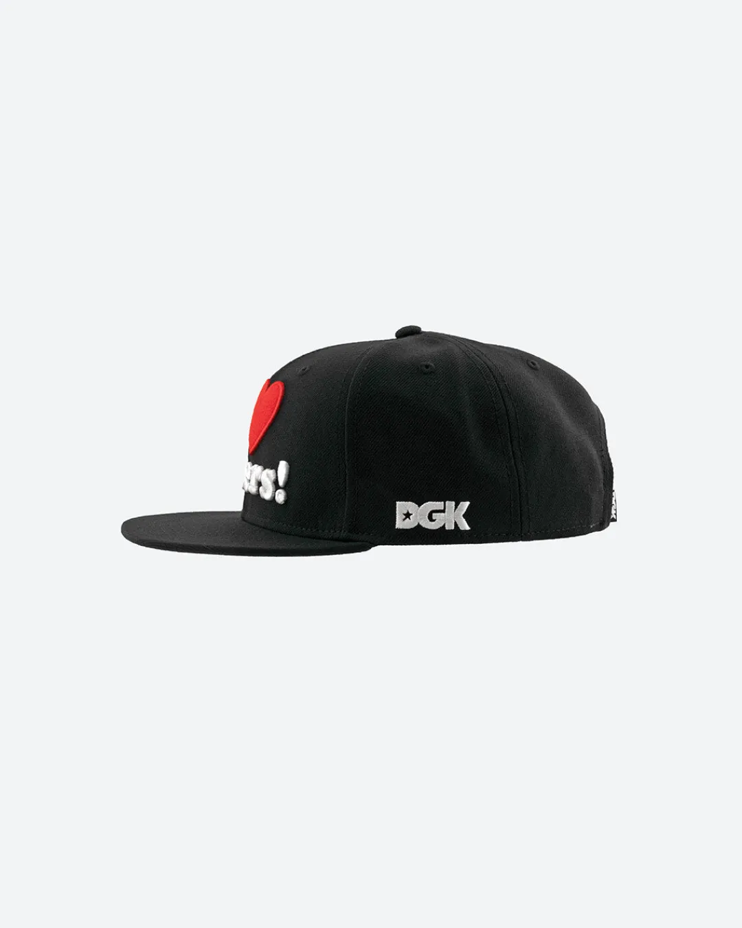 Dirty Ghetto Kids Haters Snapback| Headwear|Accessories