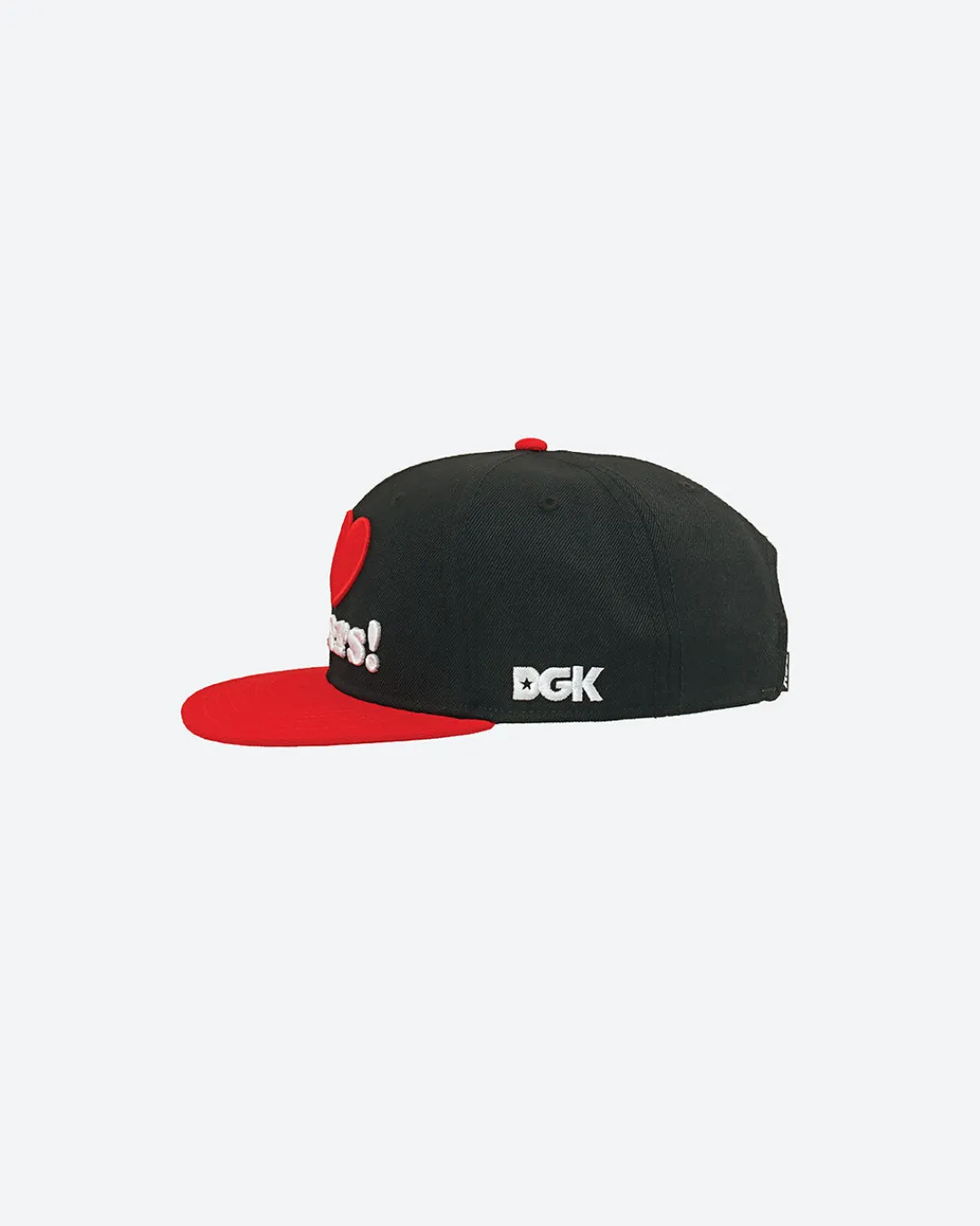 Dirty Ghetto Kids Haters Snapback| Headwear|Accessories
