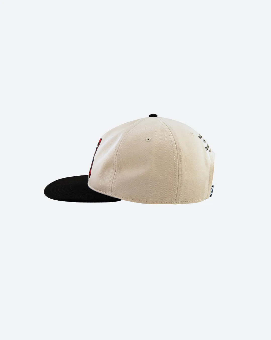 Dirty Ghetto Kids Take Over Hat| Headwear|Accessories