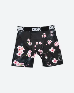 Dirty Ghetto Kids Zen Boxer Brief| Bearings|Accessories